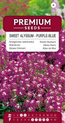 Sweet Alyssum Purple Blue Seeds